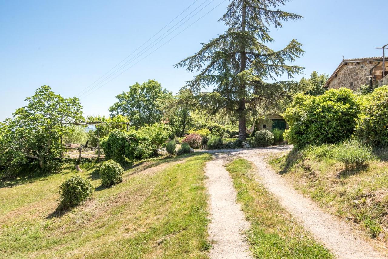 Appartamento Gemma Bianca-Tavoleto Castiglione dʼOrcia Extérieur photo