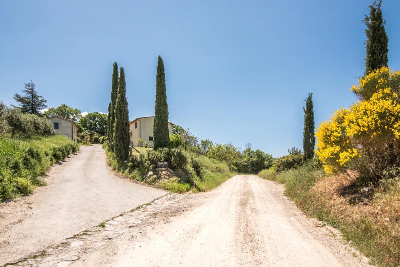 Appartamento Gemma Bianca-Tavoleto Castiglione dʼOrcia Extérieur photo